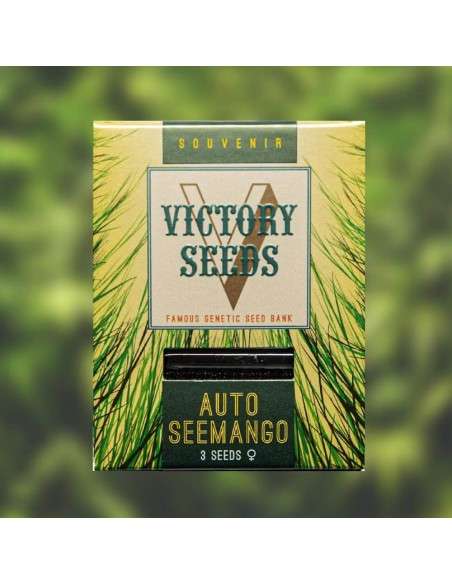 Victory Seeds - Auto Seemango - 1