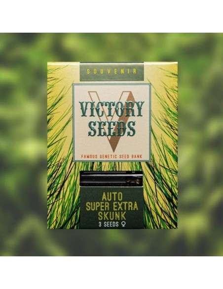 Victory Seeds - Auto Super Extra Skunk - 1