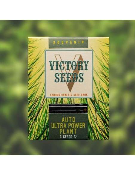 Victory Seeds - Auto Ultra Power Plant - 1