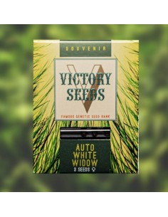 Victory Seeds - Auto White Widow - 1