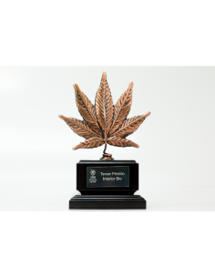 DINAFEM - Purple Afghan Kush - 1 2