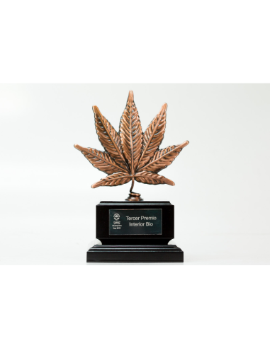 DINAFEM - Purple Afghan Kush - 2