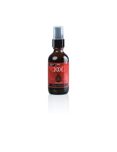 CYNAMONOWE KROPLE DIXIE BOTANICALS 60ml - 1