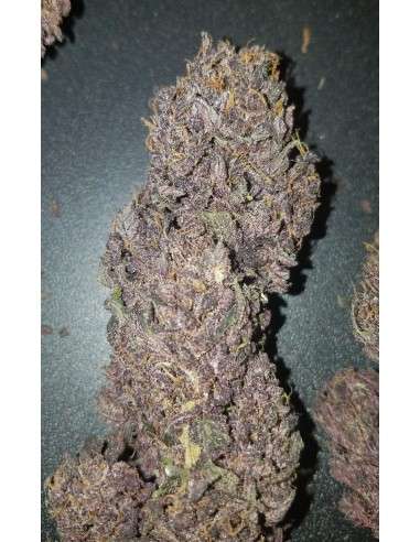 FASTBUDS - Blackberry Auto - 6