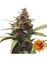 BARNEY’S FARM - Ayahuasca Purple - 1