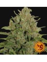 BARNEY'S FARM - Triple Cheese - 1