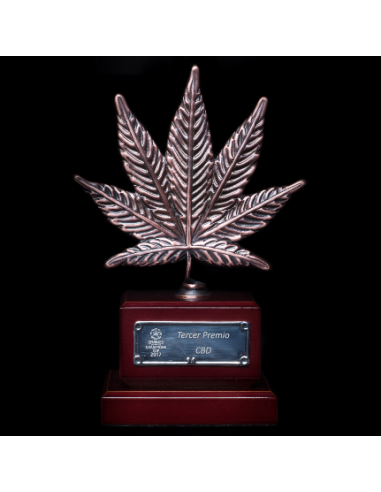 DINAFEM - OG Kush CBD - 3