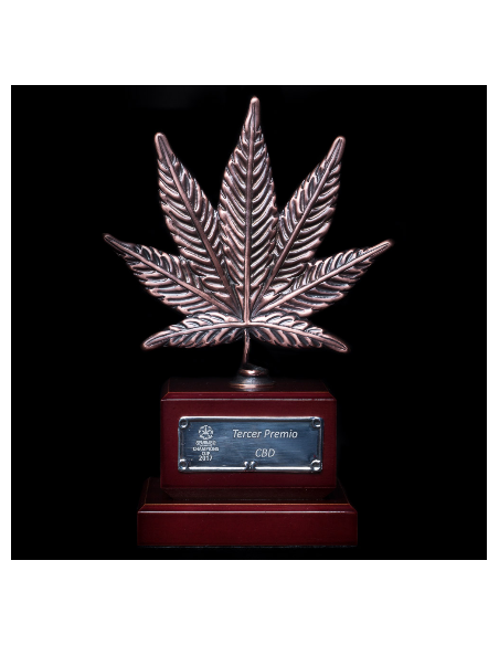 DINAFEM - OG Kush CBD - 3