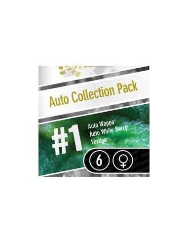 PARADISE SEEDS - Auto Collection 1 - 2