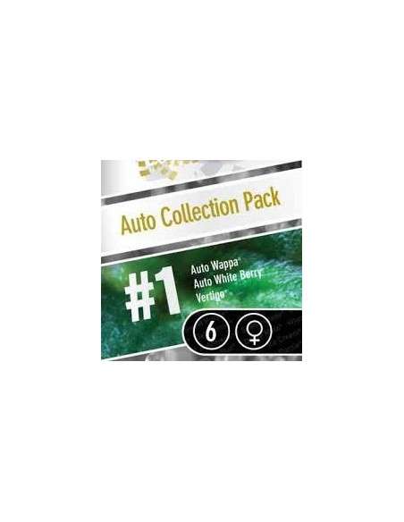 PARADISE SEEDS - Auto Collection 1 - 2