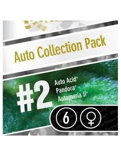 PARADISE SEEDS - Auto Collection 2 - 1 2