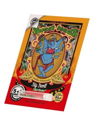 SWEET SEEDS - Big Devil F1 Fast Version - 3
