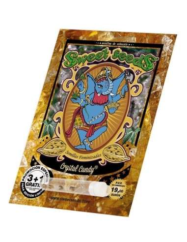 SWEET SEEDS - Crystal Candy - 4