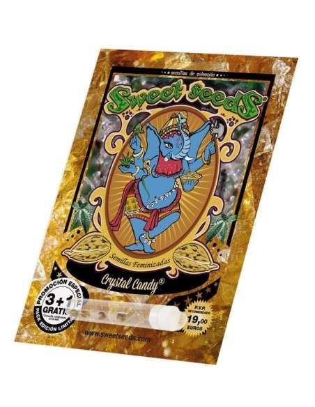 SWEET SEEDS - Crystal Candy - 4