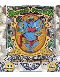 SWEET SEEDS - Sweet Mix Feminizowany - 1