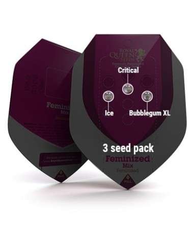ROYAL QUEEN SEEDS - Feminizowany Mix - 3