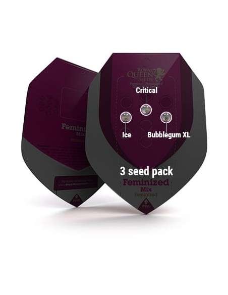 ROYAL QUEEN SEEDS - Feminizowany Mix - 3