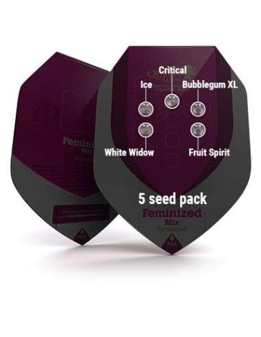 ROYAL QUEEN SEEDS - Feminizowany Mix - 4