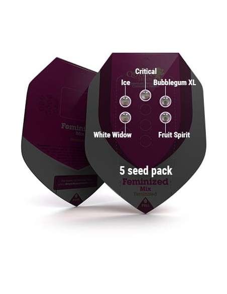 ROYAL QUEEN SEEDS - Feminizowany Mix - 4