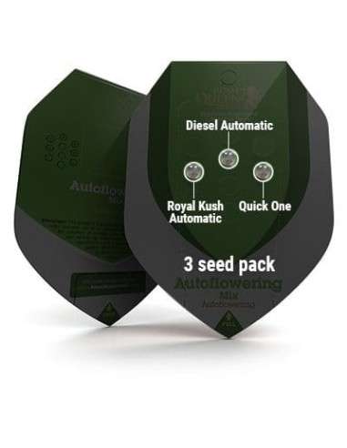 ROYAL QUEEN SEEDS - Autoflowering Mix - 3