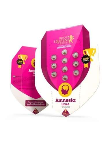 ROYAL QUEEN SEEDS - Amnesia Haze - 8