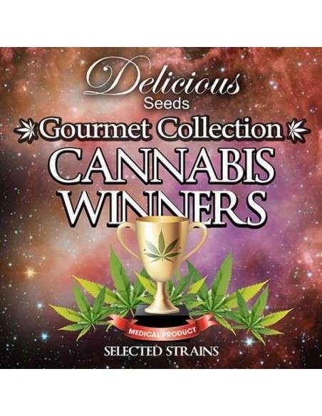 DELICIOUS SEEDS - Gourmet Collection Cannabis Winners 1 - 1