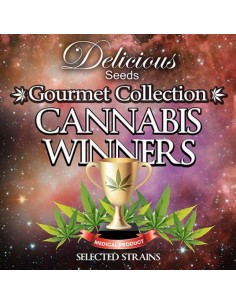 DELICIOUS SEEDS - Gourmet Collection Cannabis Winners 2 - 1