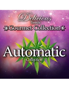 DELICIOUS SEEDS - Gourmet Collection Automatic 1 - 1