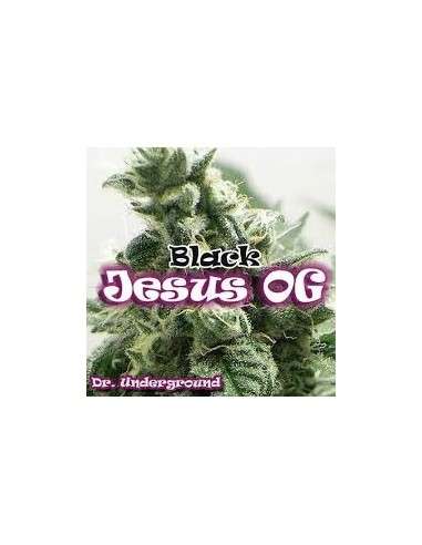 DR UNDERGROUND - Black Jesus OG - 1