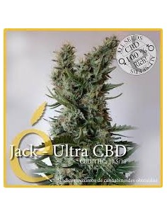 ELITE SEEDS - Jack Ultra CBD - 1