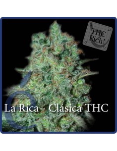 ELITE SEEDS - La Rica Clásica THC - 1
