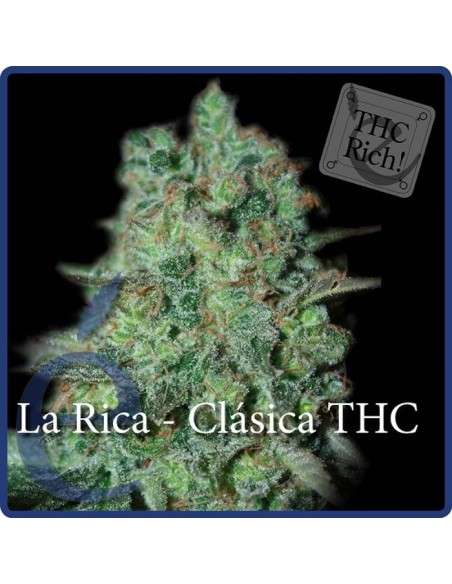ELITE SEEDS - La Rica Clásica THC - 1