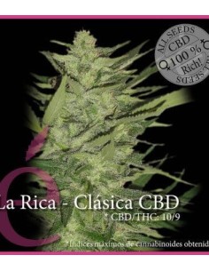 ELITE SEEDS - La Rica Clásica CBD - 1