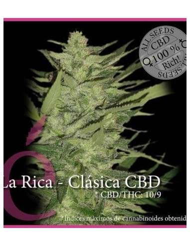 ELITE SEEDS - La Rica Clásica CBD - 1