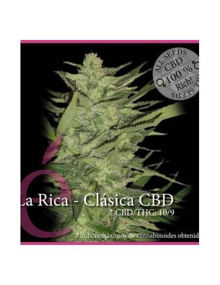 ELITE SEEDS - La Rica Clásica CBD - 1