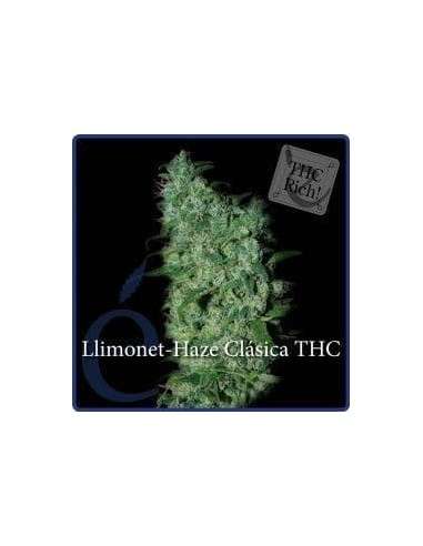 ELITE SEEDS - Llimonet Haze Clásica THC - 1