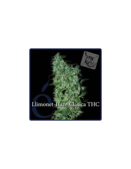ELITE SEEDS - Llimonet Haze Clásica THC - 1