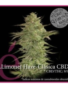 ELITE SEEDS - Llimonet Haze Clásica CBD - 1