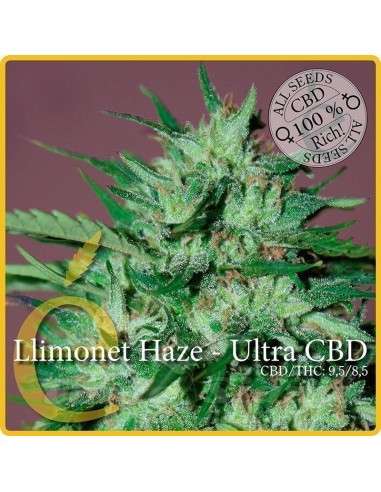 ELITE SEEDS - Llimonet Haze Ultra CBD - 1