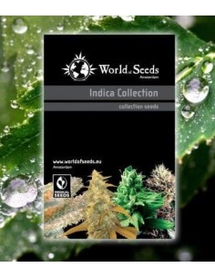 WORLD OF SEEDS - Indica Collection - 1