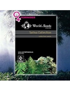 WORLD OF SEEDS - Sativa Collection - 1