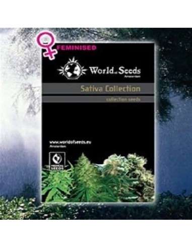 WORLD OF SEEDS - Sativa Collection - 1