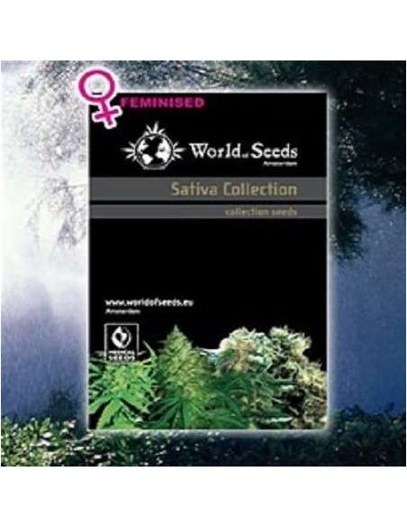 WORLD OF SEEDS - Sativa Collection - 1