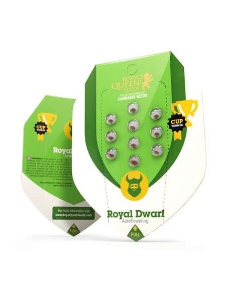 ROYAL QUEEN SEEDS - Royal Dwarf Automatic - 7