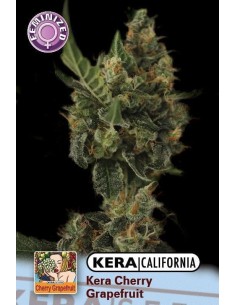 KERA SEEDS - Cherry Grapefruit - 1
