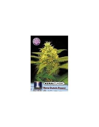 KERA SEEDS - Dutch Power 2.0 - 1