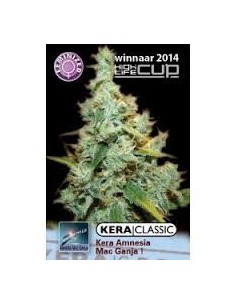 KERA SEEDS - Amnesia Mac Ganja - 1