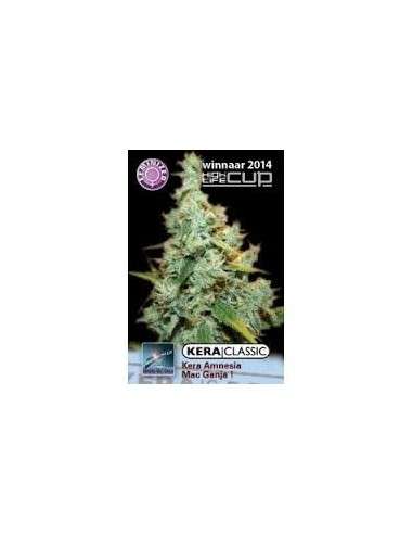 KERA SEEDS - Amnesia Mac Ganja - 1