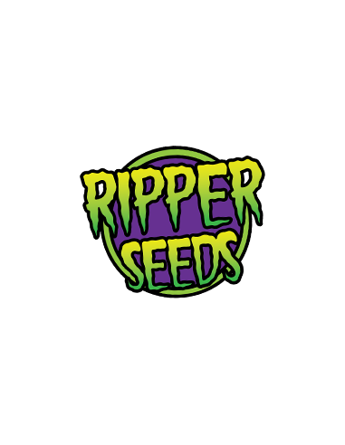 RIPPER SEEDS - Washing Machine - 4