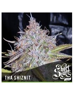 SHORT STUFF SEEDBANK - Auto Tha Shiznit - 1
